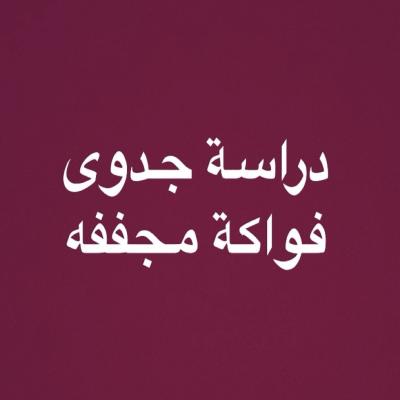 دراسة جدوى 