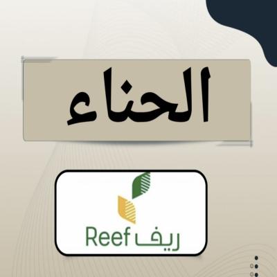 منتج رقمي